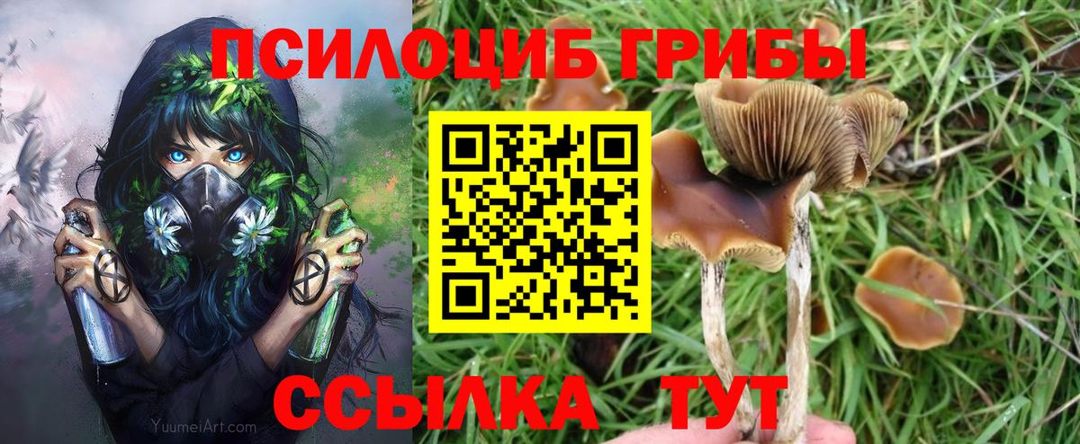 Галлюциногенные грибы ЛСД Урюпинск
