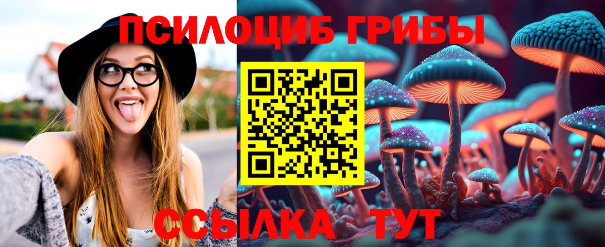 дарнет шоп  Псилоцибиновые грибы GOLDEN TEACHER  Псилоцибиновые грибы Psilocybine cubensis  Вход с VPN  Урюпинск 